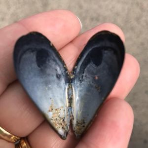 Meet your Posher, Kristin